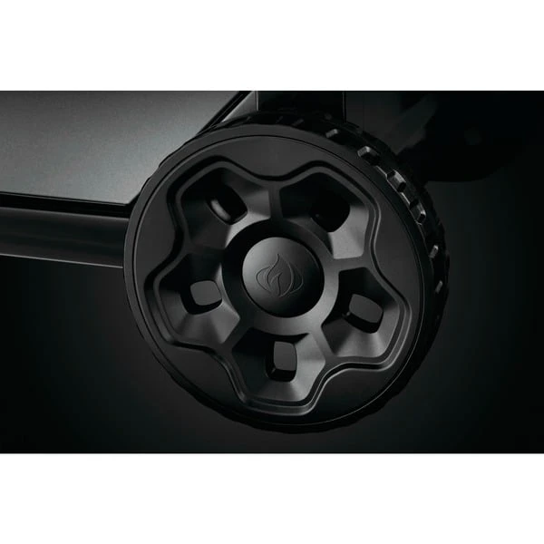 Napoleon Gasgrill Freestyle 425 Graphit 11 Napoleon Gasgrill Freestyle 425 Graphit – Bild 11