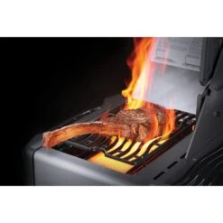 Napoleon Gasgrill Prestige 500 Edelstahl -Küchengrill Geschäft Napoleon Gasgrill Prestige 500 Edelstahl@@9ggfen0s 7