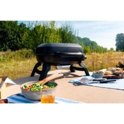 Napoleon Gasgrill TRAVELQ 240 -Küchengrill Geschäft Napoleon Gasgrill TRAVELQ 240@@1872821 13