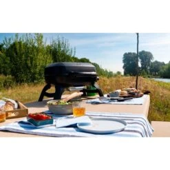 Napoleon Gasgrill TRAVELQ 240 -Küchengrill Geschäft Napoleon Gasgrill TRAVELQ 240@@1872821 14