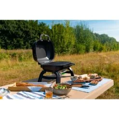 Napoleon Gasgrill TRAVELQ 240 -Küchengrill Geschäft Napoleon Gasgrill TRAVELQ 240@@1872821 16