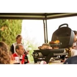 Napoleon Gasgrill TravelQ PRO285 34 Napoleon Gasgrill TravelQ PRO285 -Küchengrill Geschäft Napoleon Gasgrill TravelQ PRO285@@9ggfen0o 17