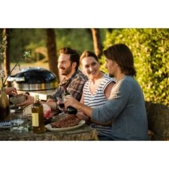 Napoleon Holzkohlegrill PRO22K, Im Rollwagen 39 Napoleon Holzkohlegrill PRO22K, Im Rollwagen -Küchengrill Geschäft Napoleon Holzkohlegrill PRO22K im Rollwagen@@9ggffn01 19