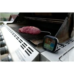 TFA Digitales Grill-Bratenthermometer 14.1509 -Küchengrill Geschäft TFA Digitales Grill Bratenthermometer 14 1509@@1914083 2
