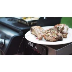 Weber Gasgrill Spirit EPX-325S GBS 29 Weber Gasgrill Spirit EPX-325S GBS -Küchengrill Geschäft Weber Gasgrill Spirit EPX 325S GBS@@1694193 16