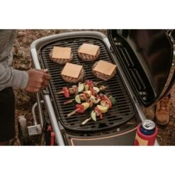 Weber Gasgrill Traveler Black 30 Weber Gasgrill Traveler Black -Küchengrill Geschäft Weber Gasgrill Traveler Black@@1694181 10