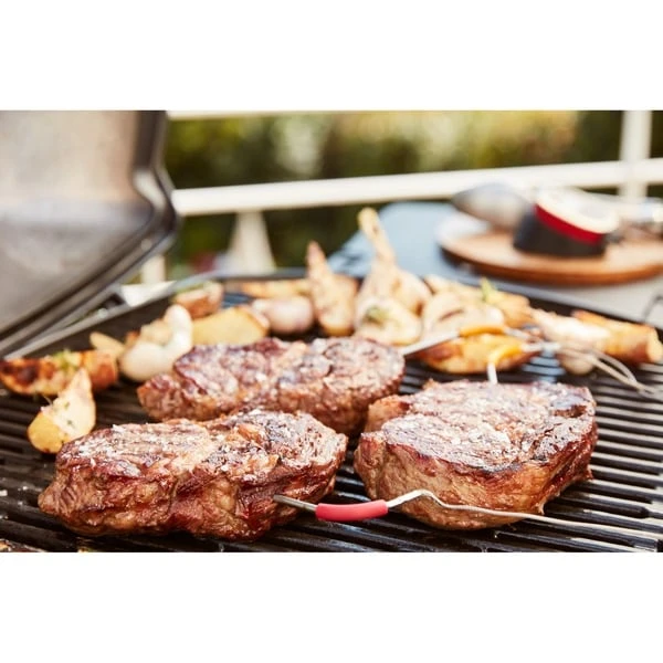 Weber IGrill Pro Messfühler Für Grillgut, Thermometer 14 Weber IGrill Pro Messfühler Für Grillgut, Thermometer – Bild 14