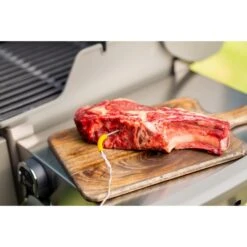 Weber IGrill Pro Messfühler Für Grillgut, Thermometer 28 Weber IGrill Pro Messfühler Für Grillgut, Thermometer -Küchengrill Geschäft Weber iGrill Pro Messf hler f r Grillgut Thermometer@@1303168 8